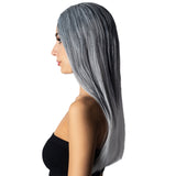 ANXIN WIG FACTORY Costume Accessories Straight Grey and white Wig for Adults 810077656686
