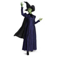 DISGUISE (TOY-SPORT) Costumes Wicked Elphaba Deluxe Costume for Adults, Purple Dress