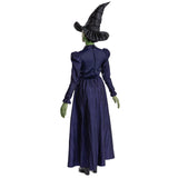 DISGUISE (TOY-SPORT) Costumes Wicked Elphaba Deluxe Costume for Adults, Purple Dress