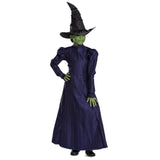 DISGUISE (TOY-SPORT) Costumes Wicked Elphaba Deluxe Costume for Kids, Purple Dress