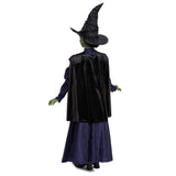 DISGUISE (TOY-SPORT) Costumes Wicked Elphaba Deluxe Costume for Kids, Purple Dress