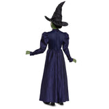 DISGUISE (TOY-SPORT) Costumes Wicked Elphaba Deluxe Costume for Kids, Purple Dress