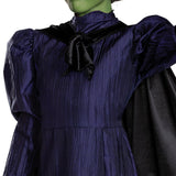 DISGUISE (TOY-SPORT) Costumes Wicked Elphaba Deluxe Costume for Kids, Purple Dress