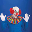 Buy Costume Accessories Clown head top wig for men sold at Party Expert