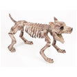 Buy Halloween Small dog skeleton sold at Party Expert
