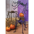 Buy Halloween Hairy spider, 90 inches - Assortment sold at Party Expert