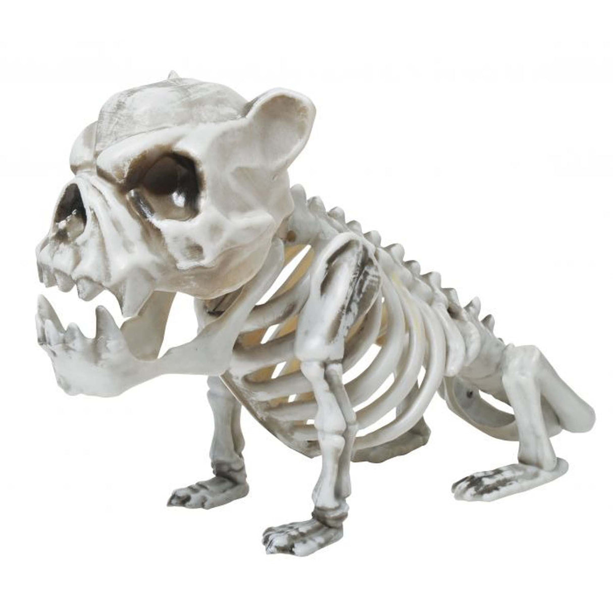 FUN WORLD Halloween Skele Bull Dog, 13 Inches, 1 Count 071765145664