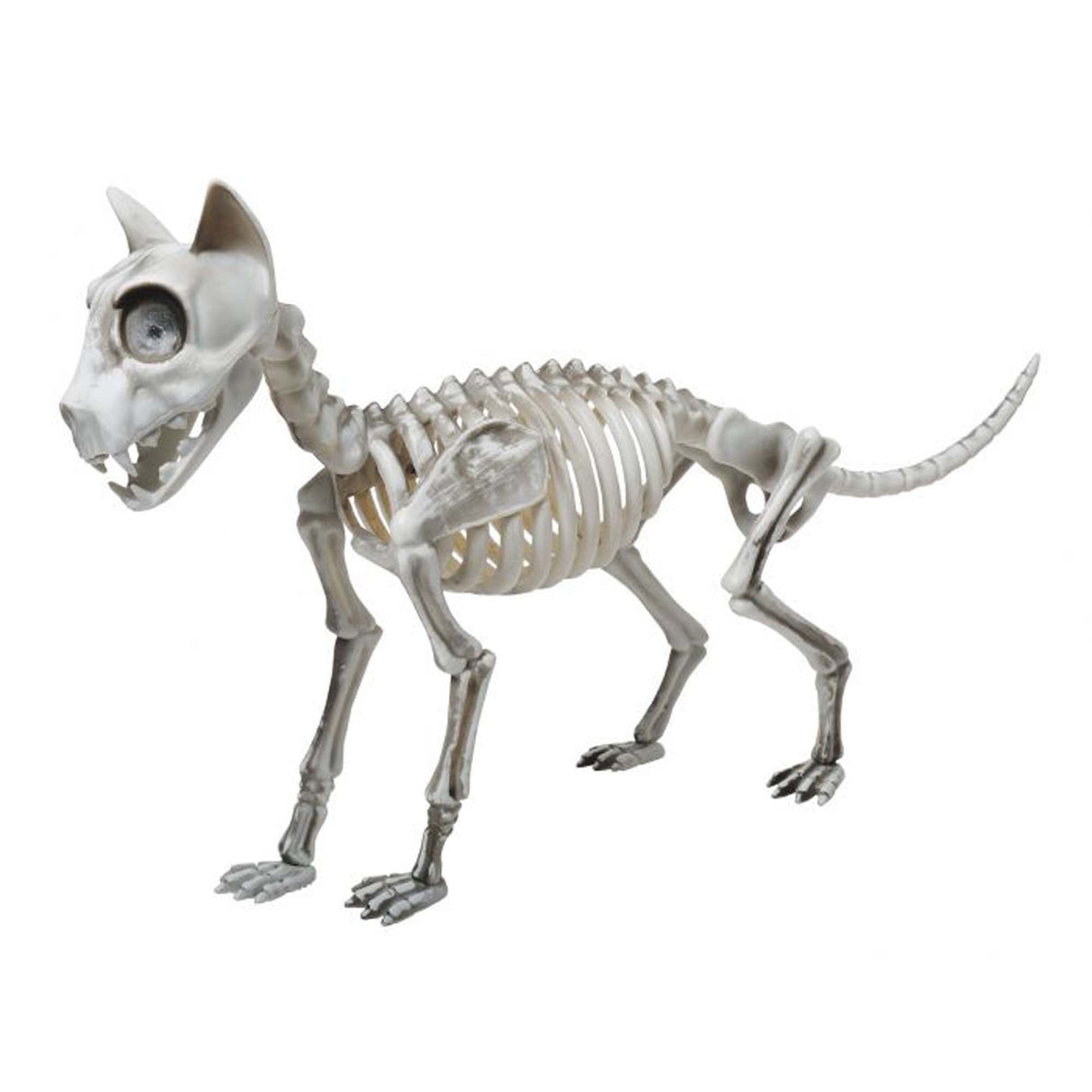 FUN WORLD Halloween Skele Cat, 20 Inches, 1 Count 071765145671