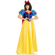 LEG AVENUE/SKU DISTRIBUTORS INC Costumes Royal Snow Princess Costume for Adults