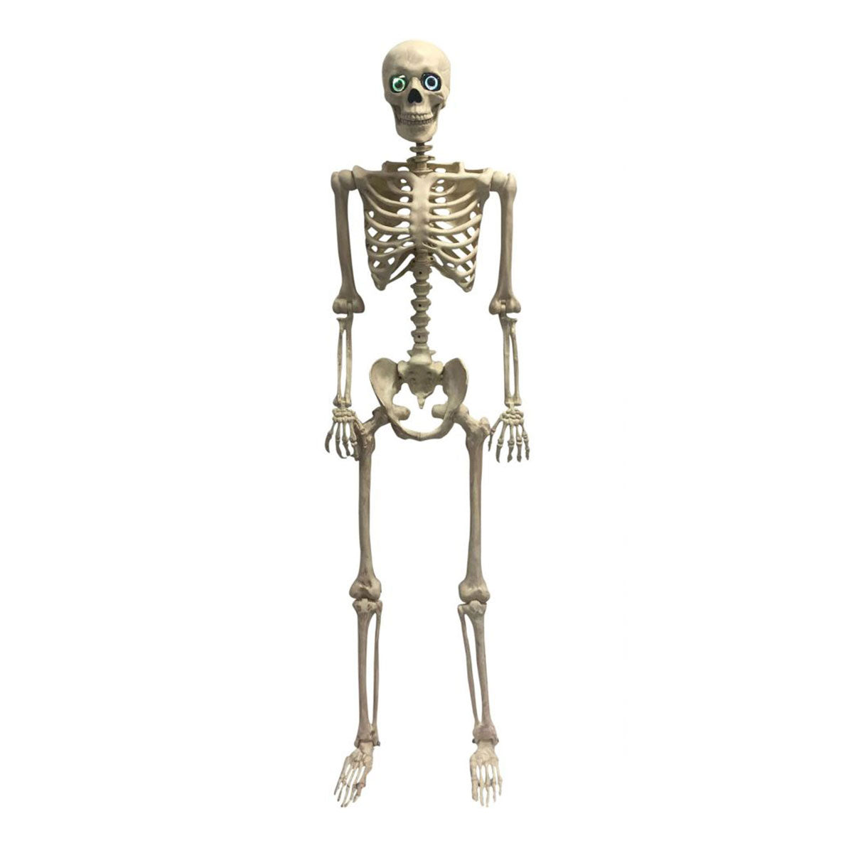 SEASONS HK USA INC Halloween Animated Skeleton with Light Eyes, 60 Inches 190842830917