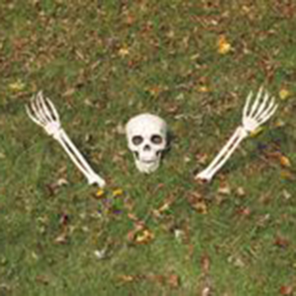 SEASONS HK USA INC Halloween Buried Alive Skeleton Parts 190842801450