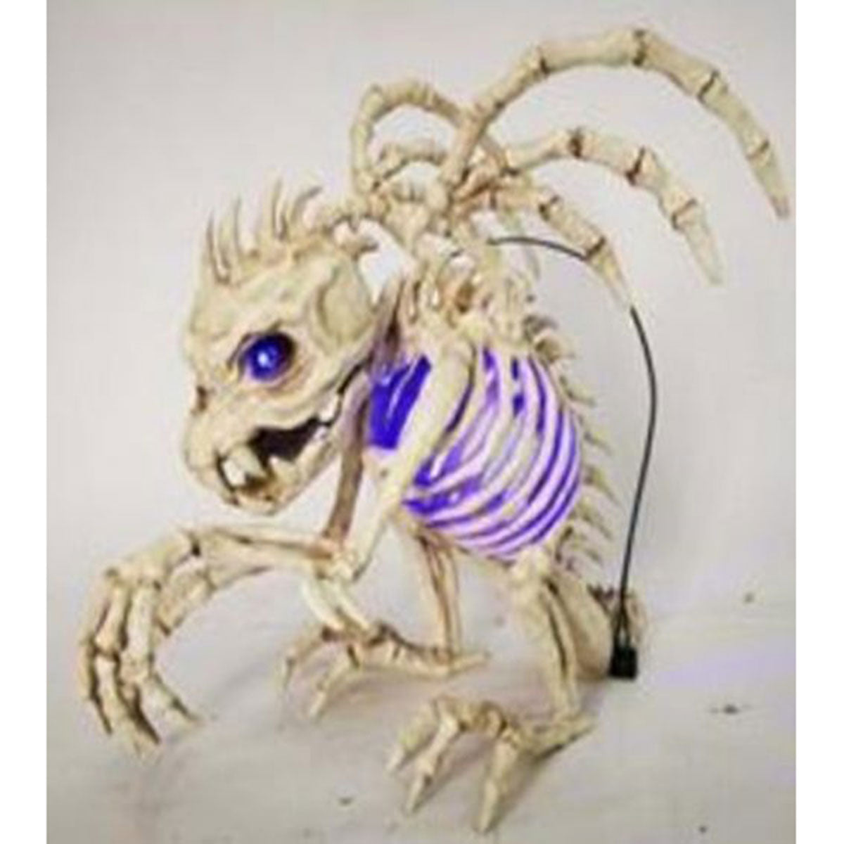SEASONS HK USA INC Halloween Skeleton Gargolye with Lights 190842818793