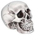 Buy Halloween Foam Skull Head sold at Party Expert