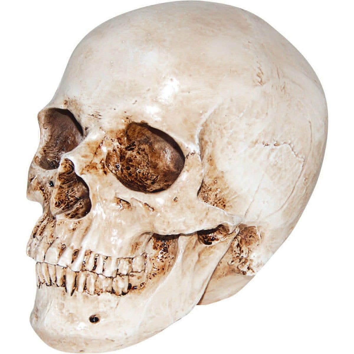 Buy Halloween Resin Skull Head sold at Party Expert